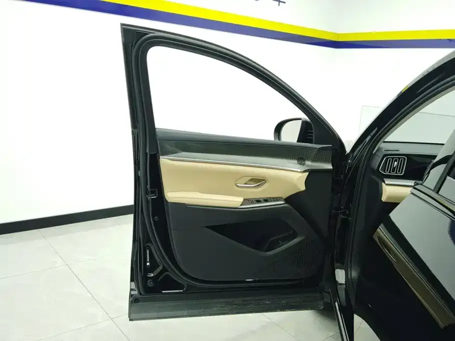 BYD Pro New Energy — фото 5