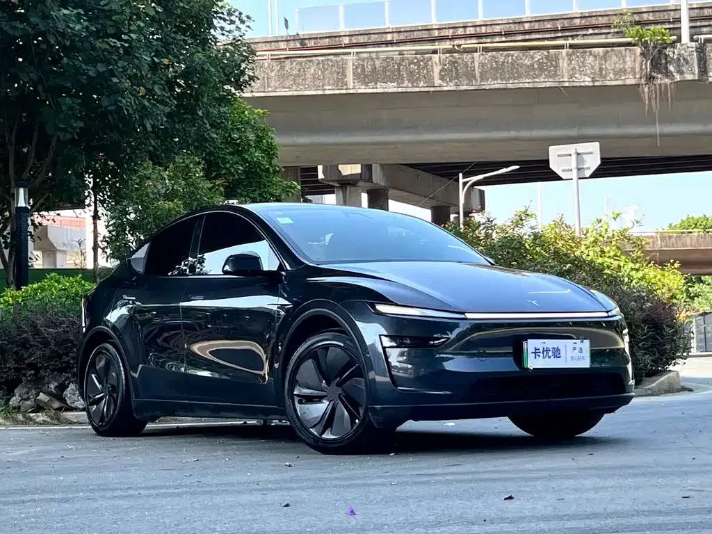 Tesla Model Y — фото 6