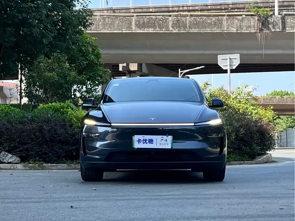 Tesla Model Y — фото 10