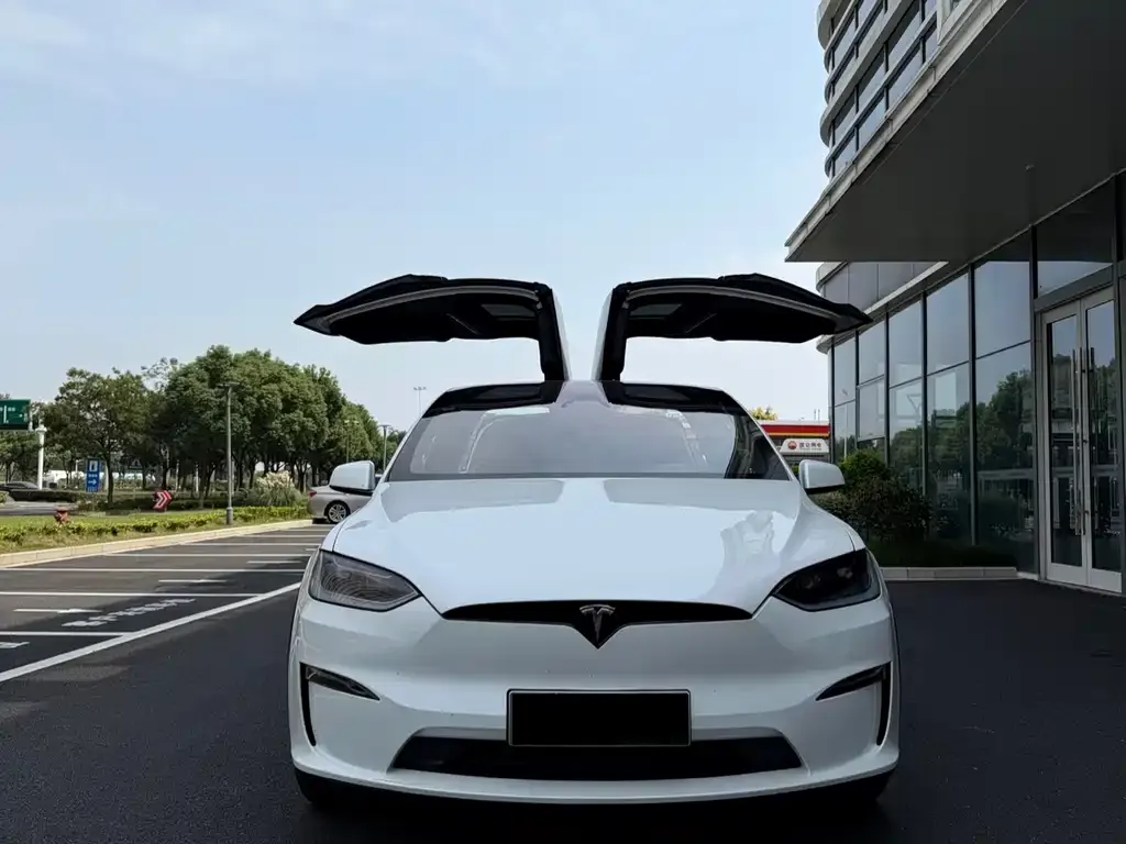 Tesla Model X — фото 1