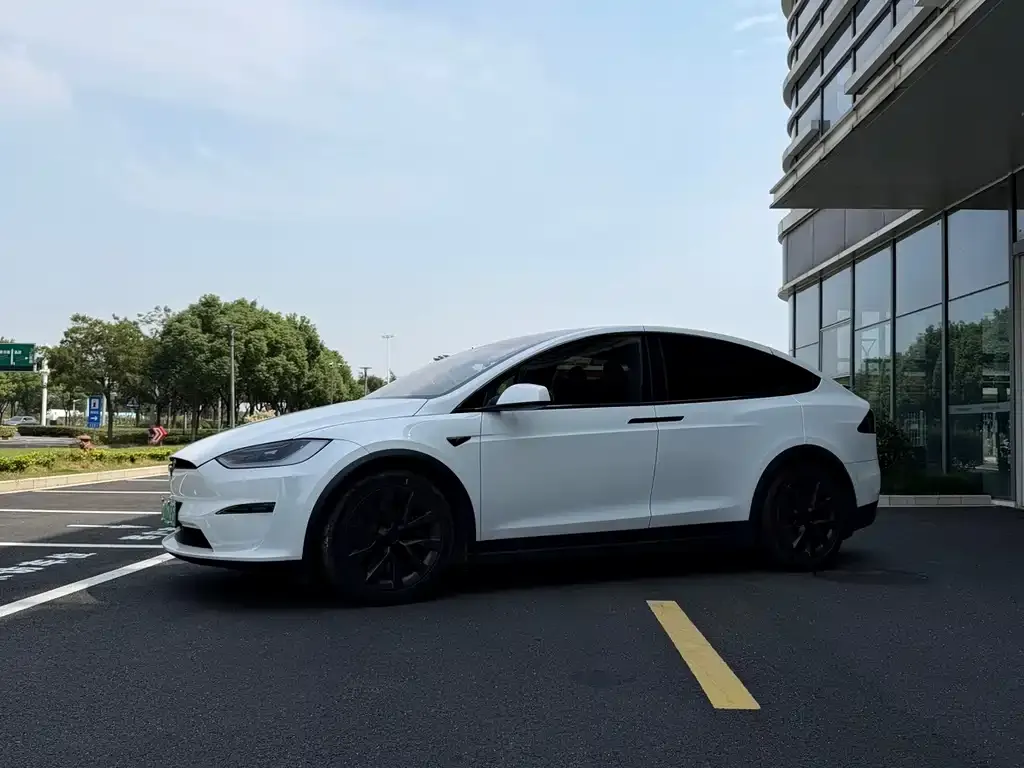 Tesla Model X — фото 5