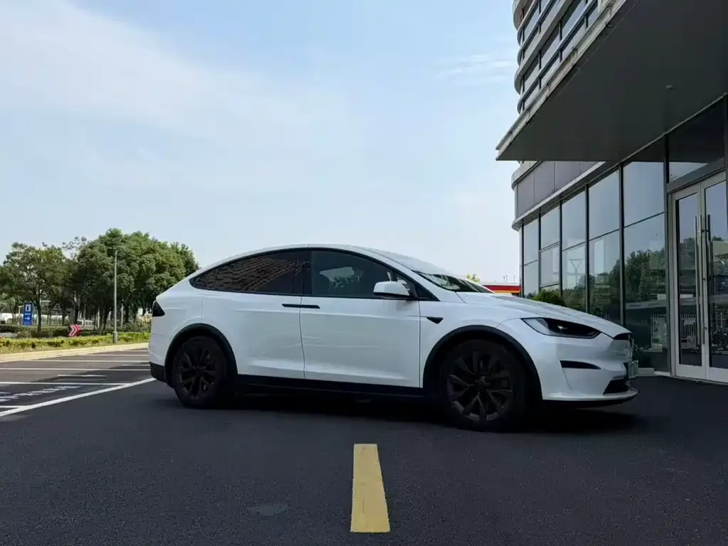 Tesla Model X — фото 6