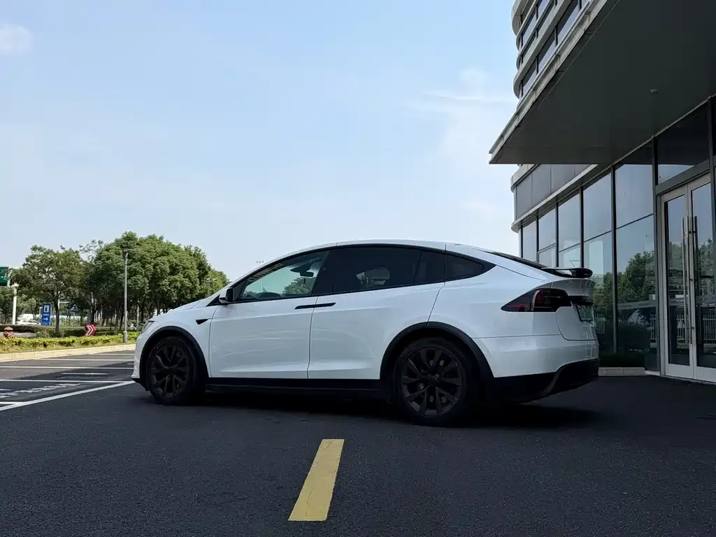 Tesla Model X — фото 3