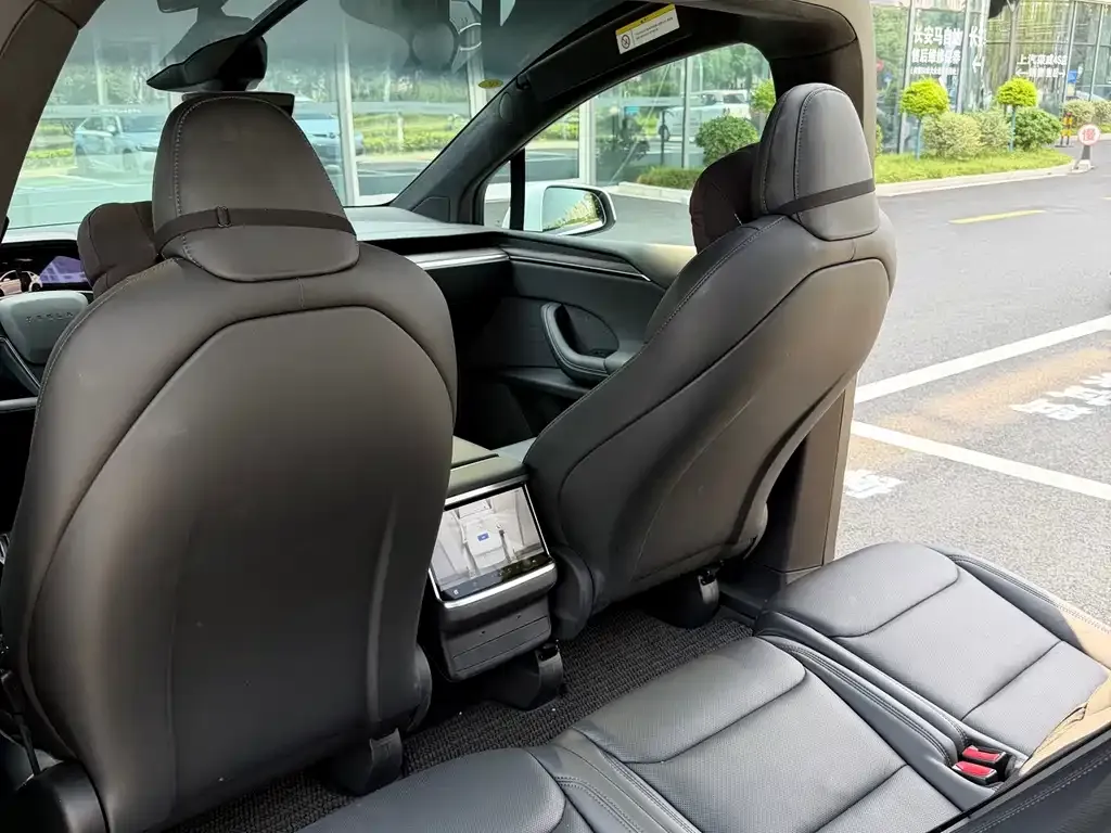 Tesla Model X — фото 7