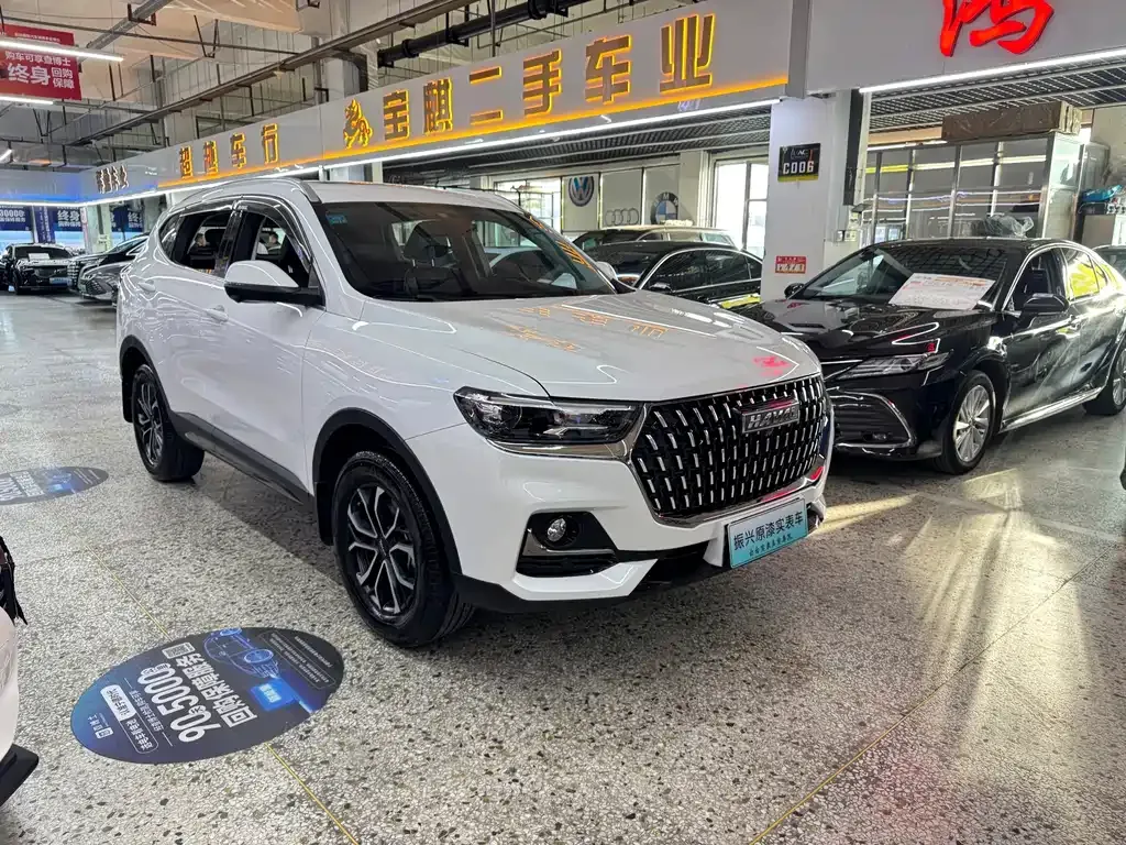 Haval H6 — фото 9