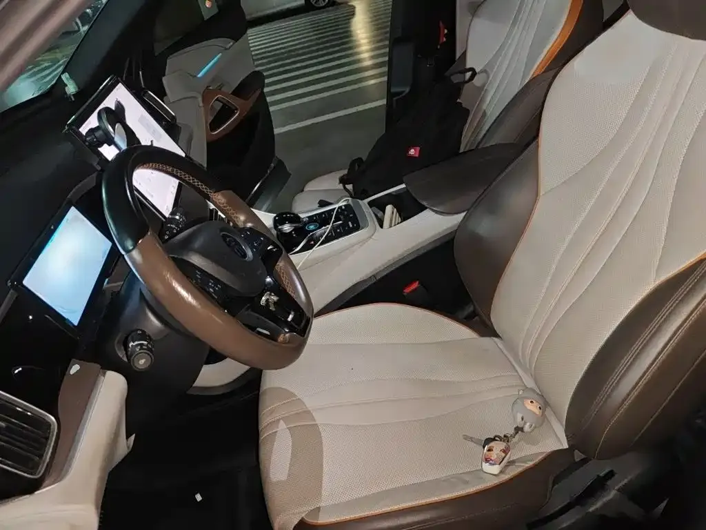 BYD Pro New Energy — фото 9