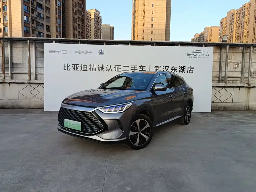 BYD PLUS New Energy — фото 1
