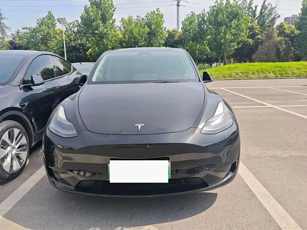 Tesla Model Y — фото 2