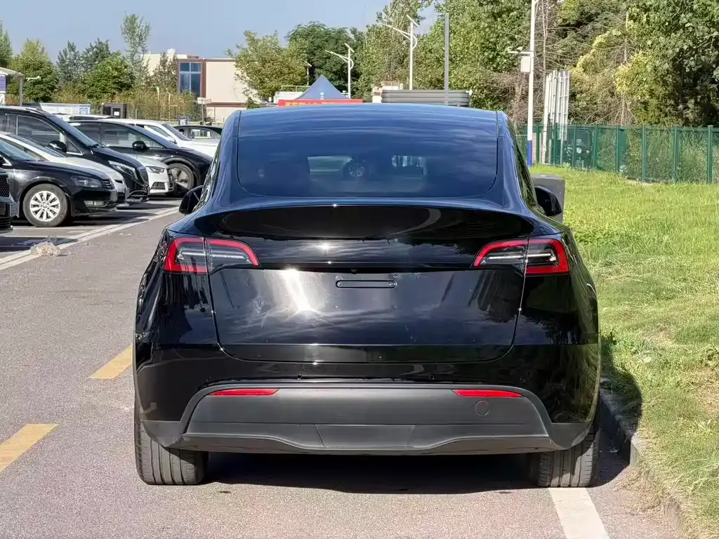 Tesla Model Y — фото 8