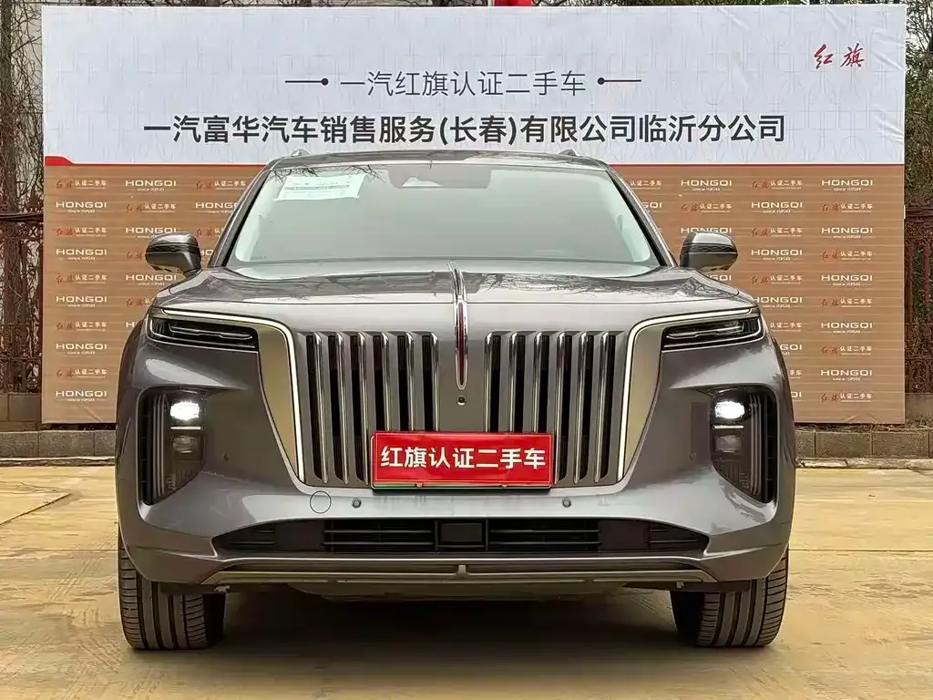 Hongqi E-HS9 — фото 8