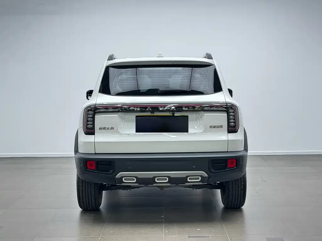 Haval Big Dog — фото 10
