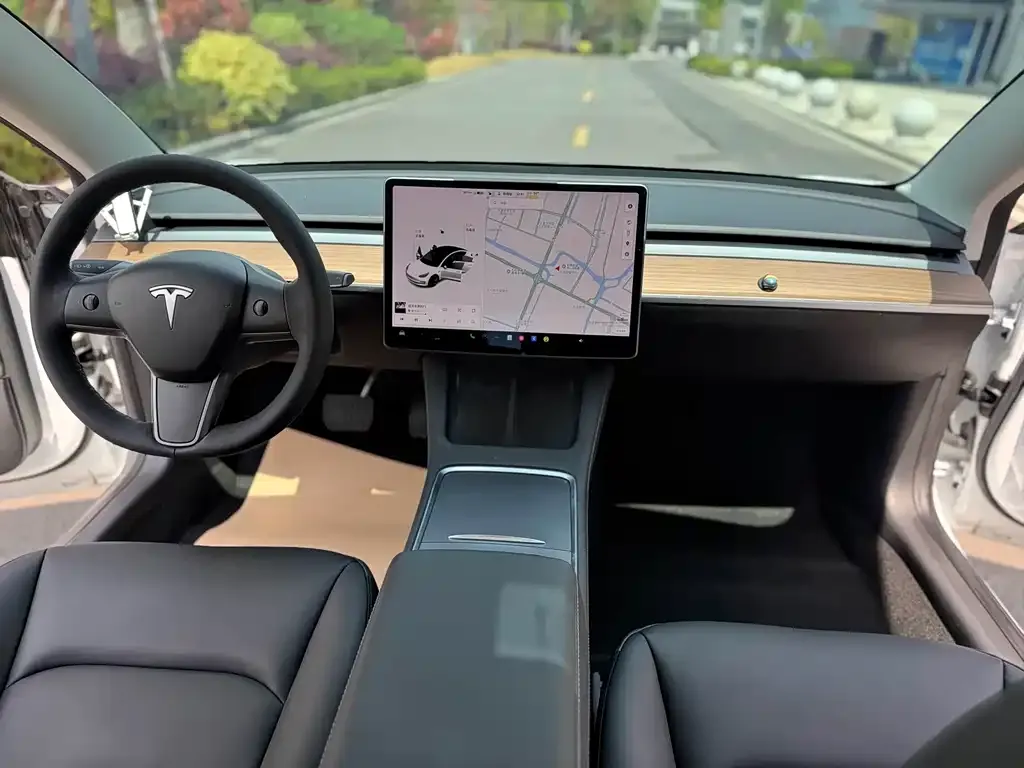 Tesla Model 3 — фото 2