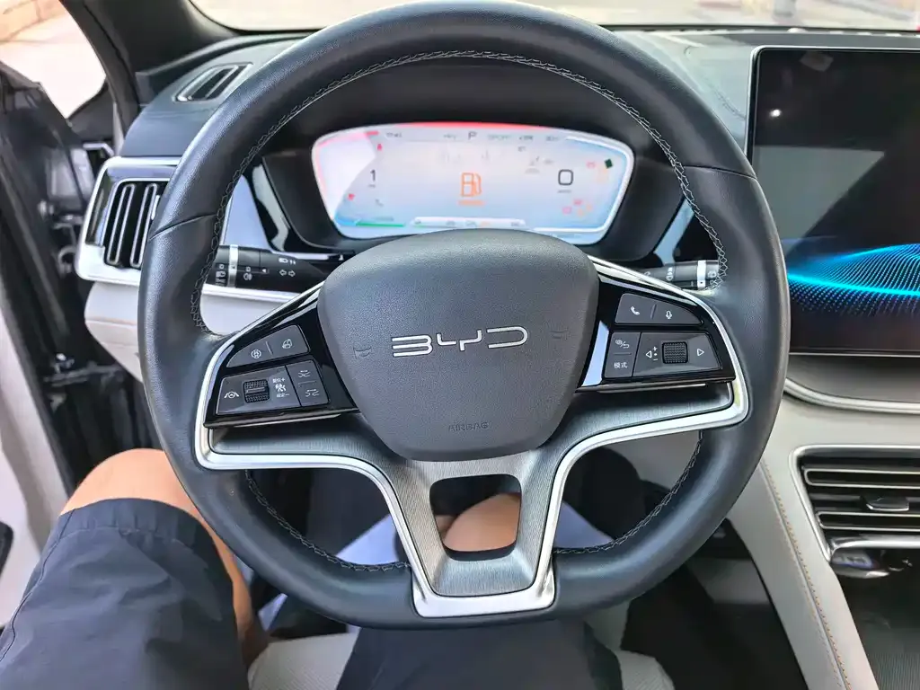 BYD PLUS New Energy — фото 9