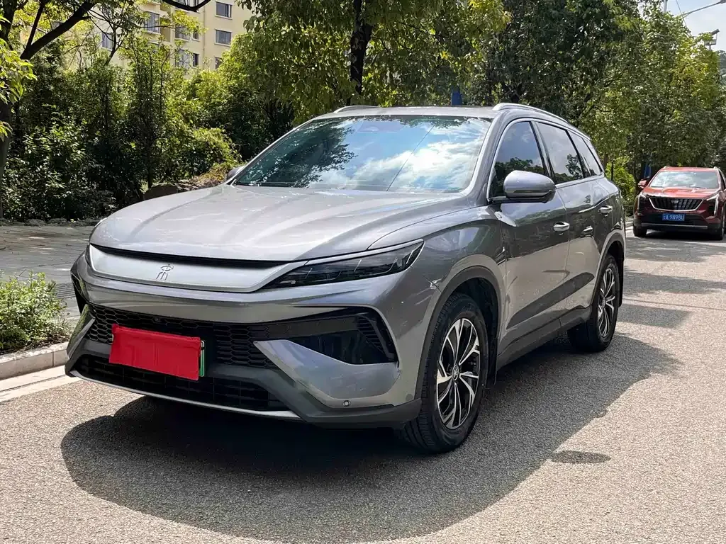 BYD Pro New Energy — фото 1