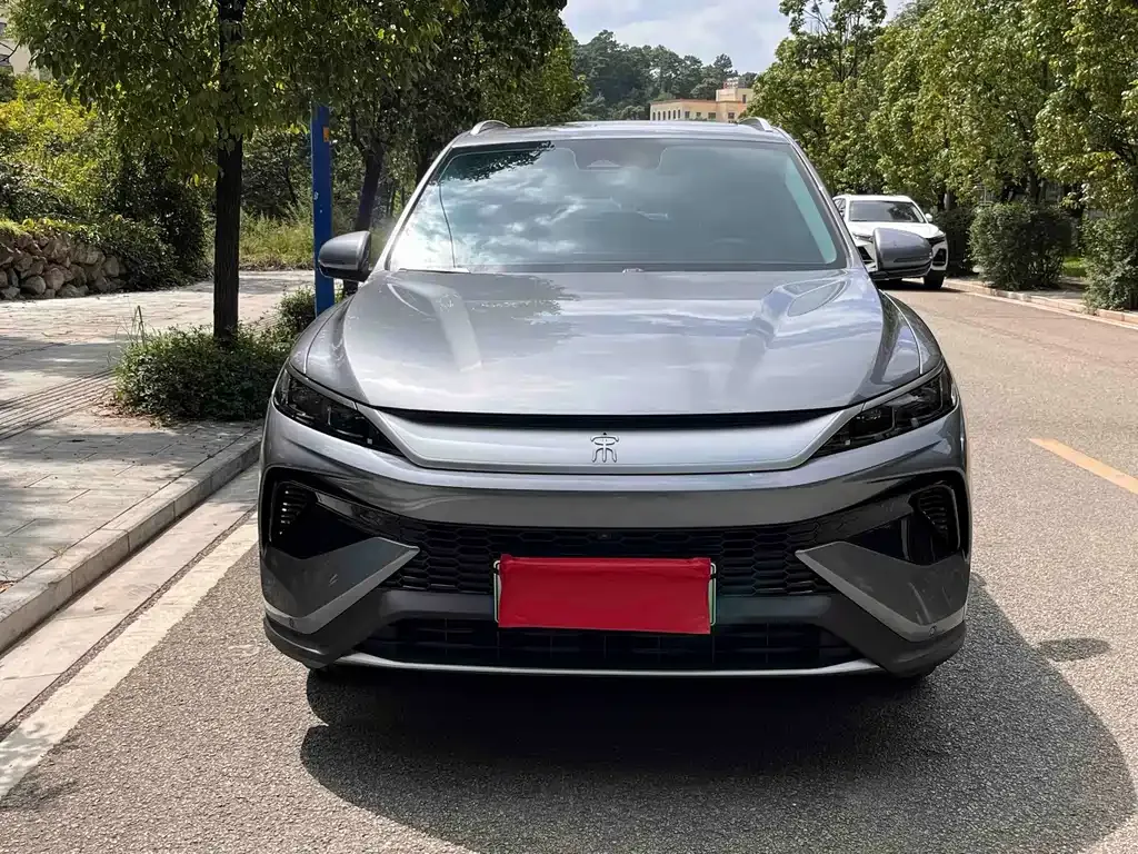 BYD Pro New Energy — фото 10