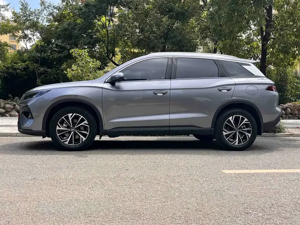 BYD Pro New Energy — фото 4