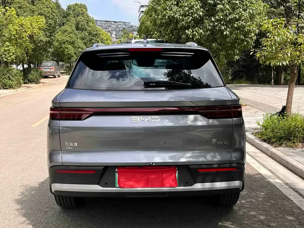 BYD Pro New Energy — фото 8