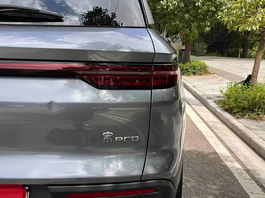 BYD Pro New Energy — фото 3