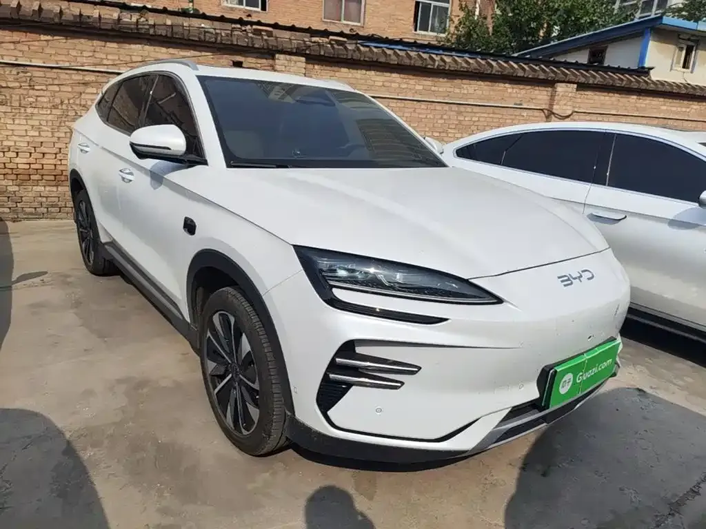BYD PLUS New Energy — фото 2