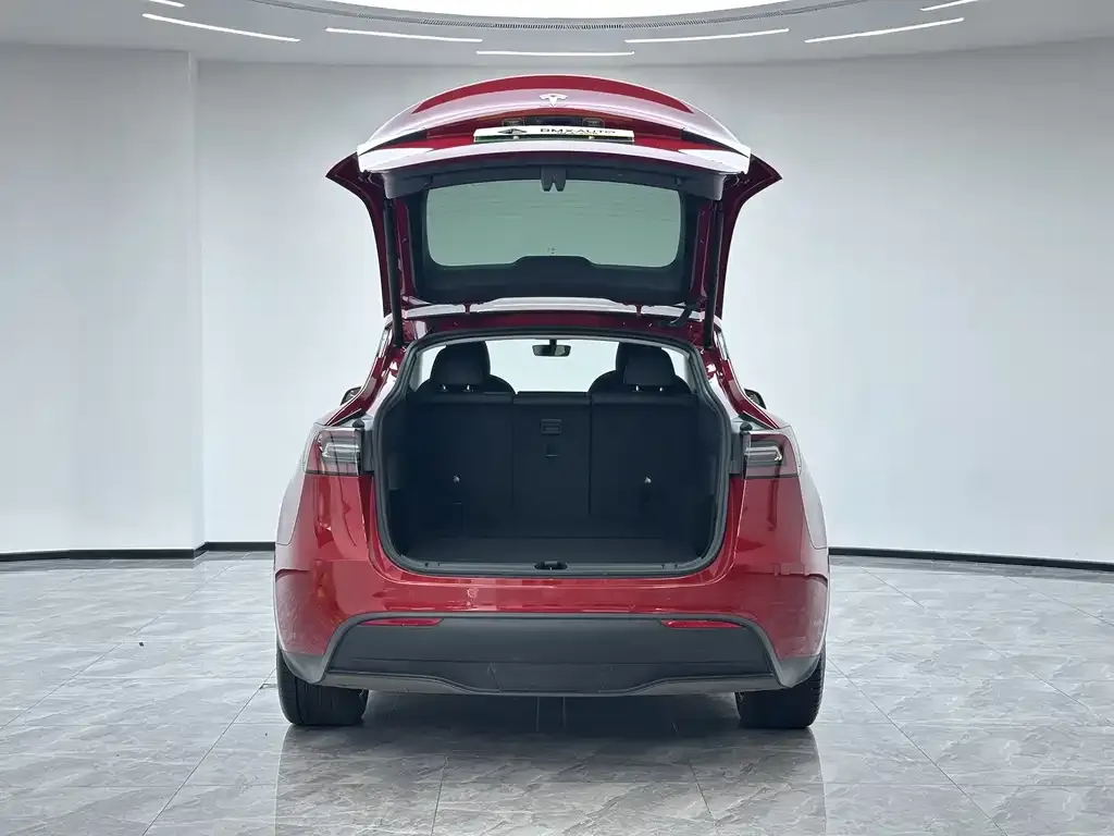 Tesla Model Y — фото 5