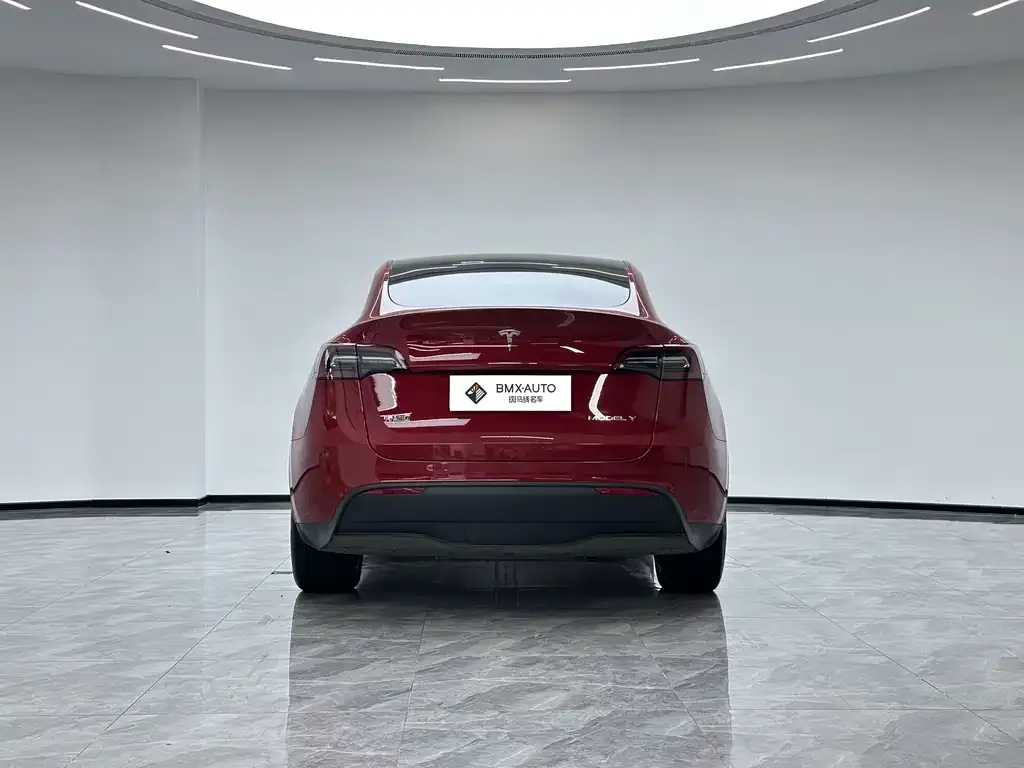 Tesla Model Y — фото 8
