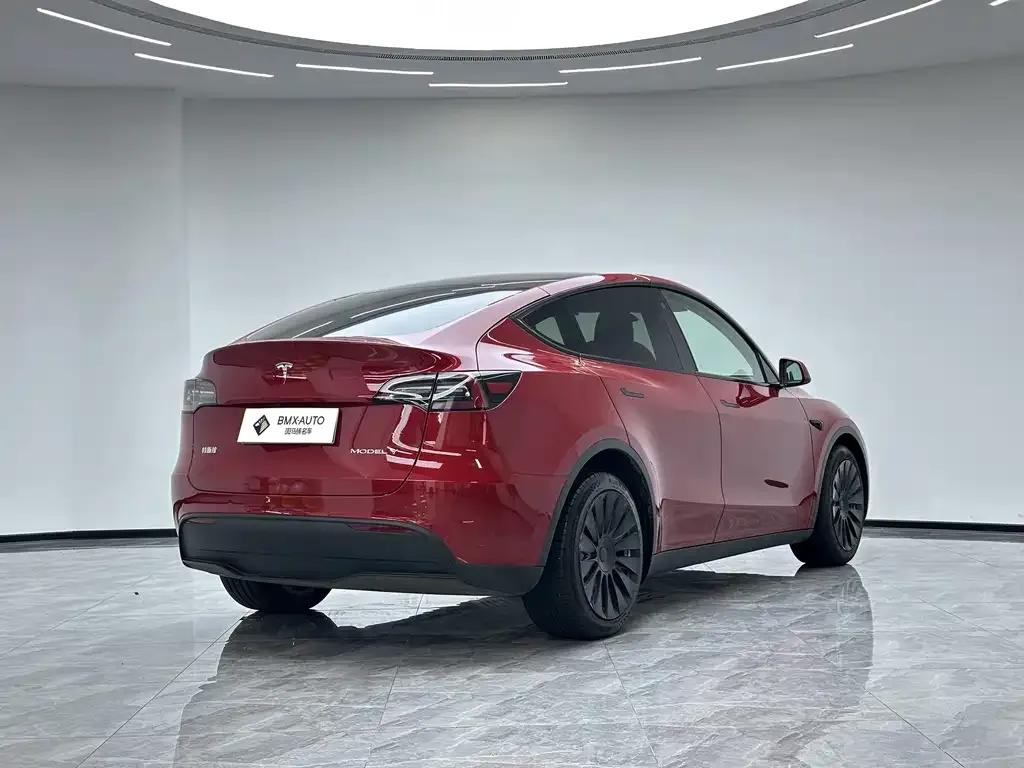 Tesla Model Y — фото 9