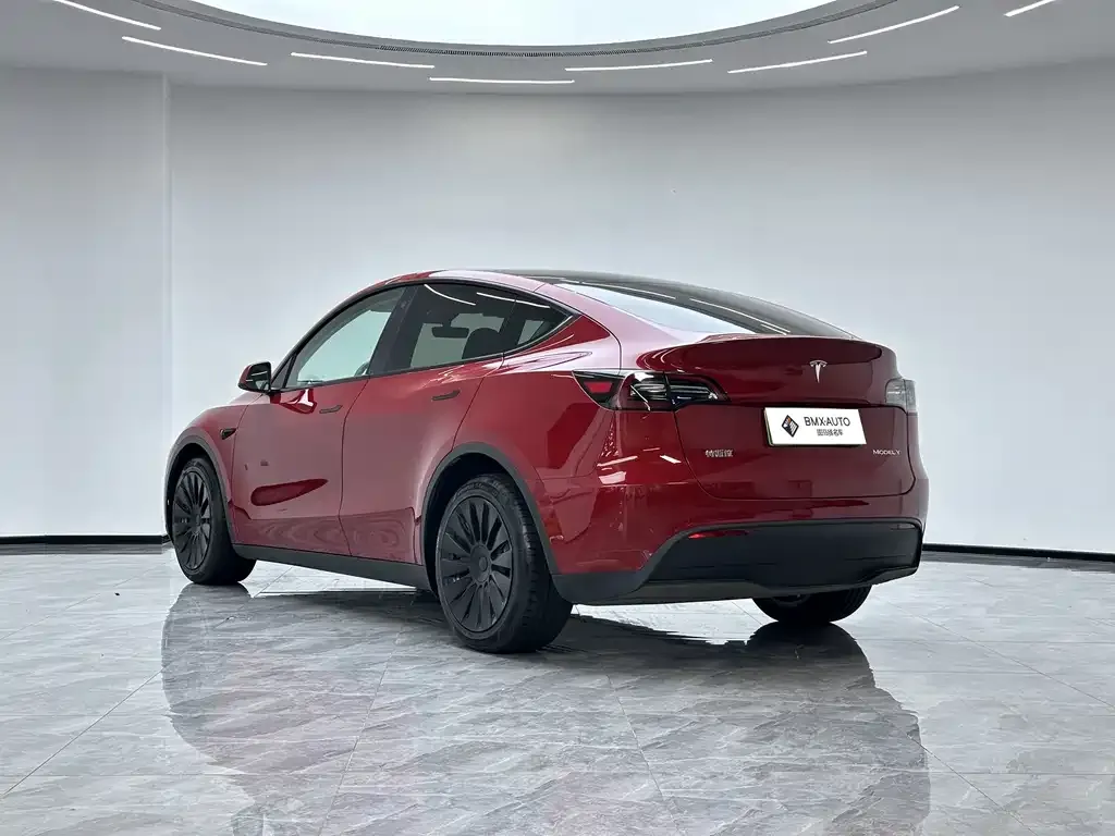 Tesla Model Y — фото 10