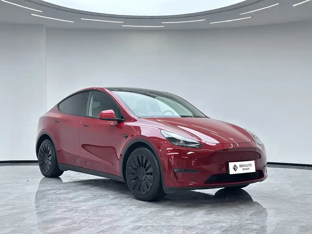 Tesla Model Y — фото 4