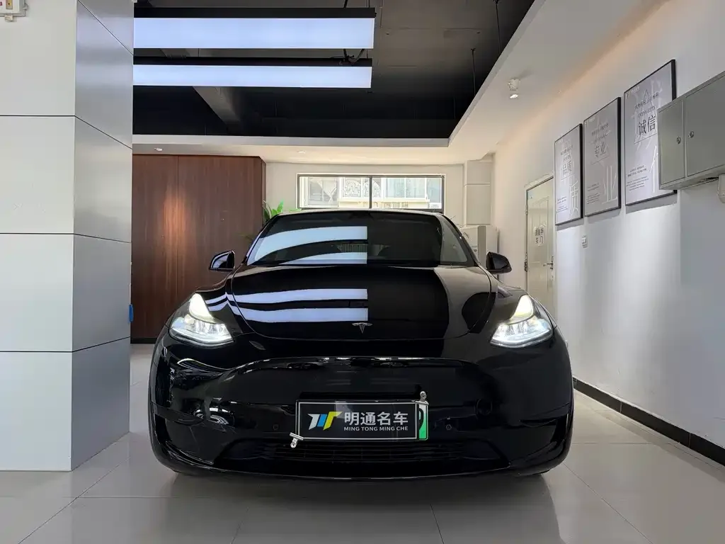 Tesla Model Y — фото 1