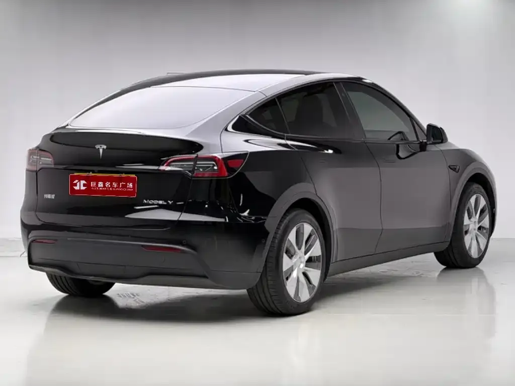 Tesla Model Y — фото 10