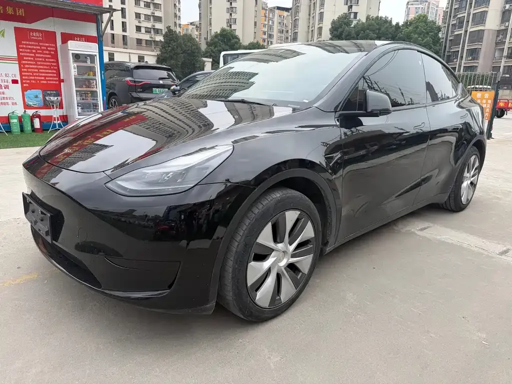 Tesla Model Y — фото 1