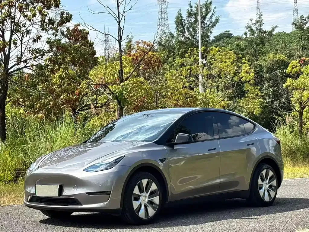 Tesla Model Y — фото 1
