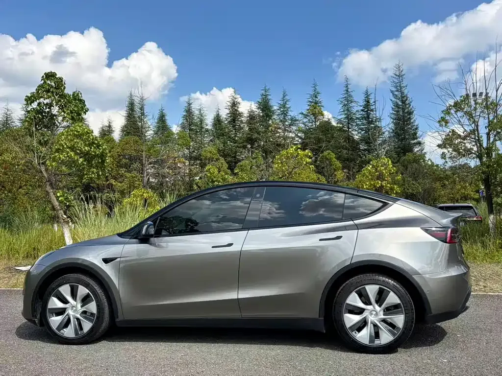 Tesla Model Y — фото 6