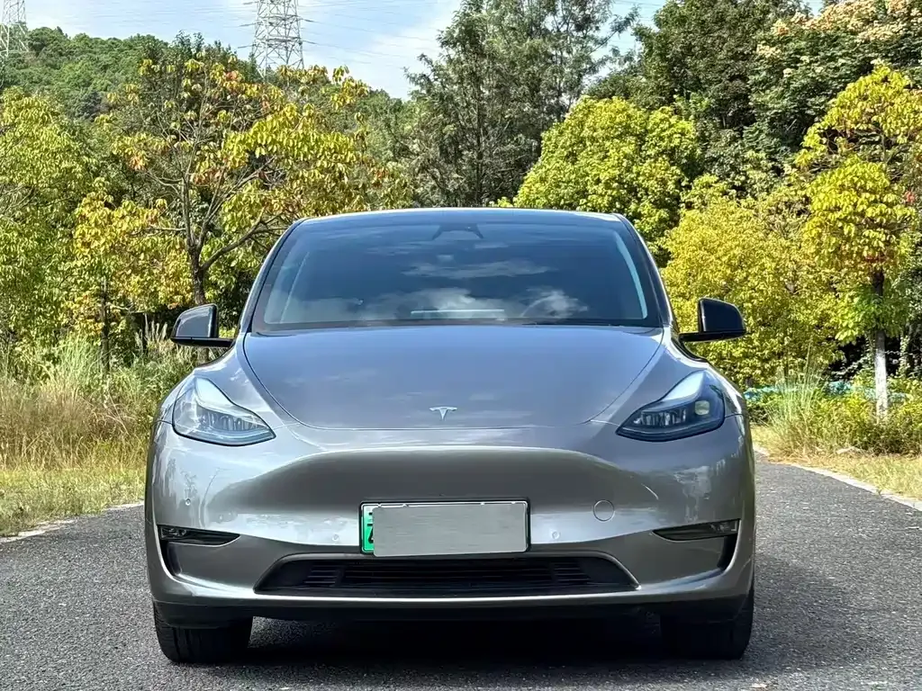 Tesla Model Y — фото 9