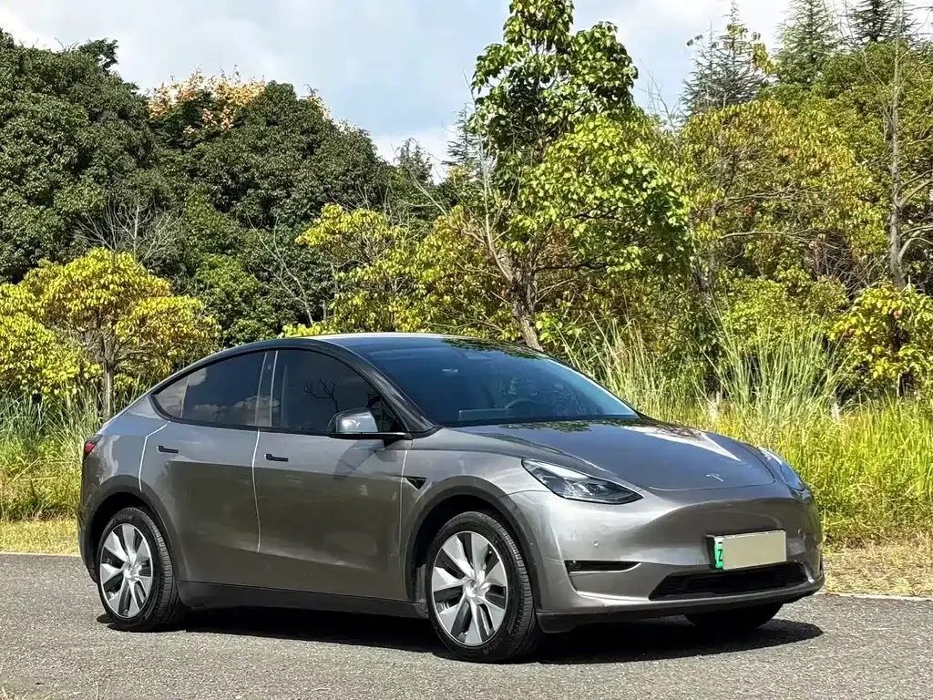 Tesla Model Y — фото 10