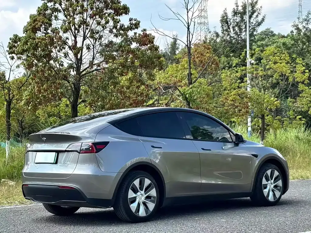Tesla Model Y — фото 3