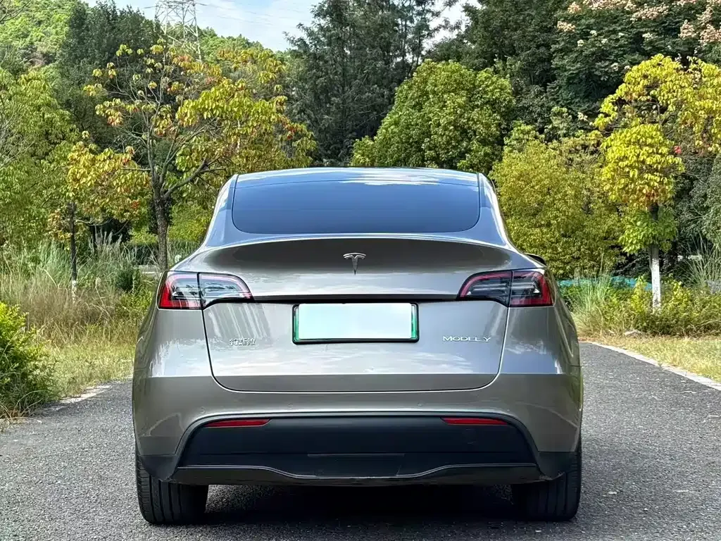 Tesla Model Y — фото 7