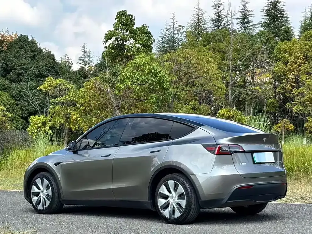 Tesla Model Y — фото 8