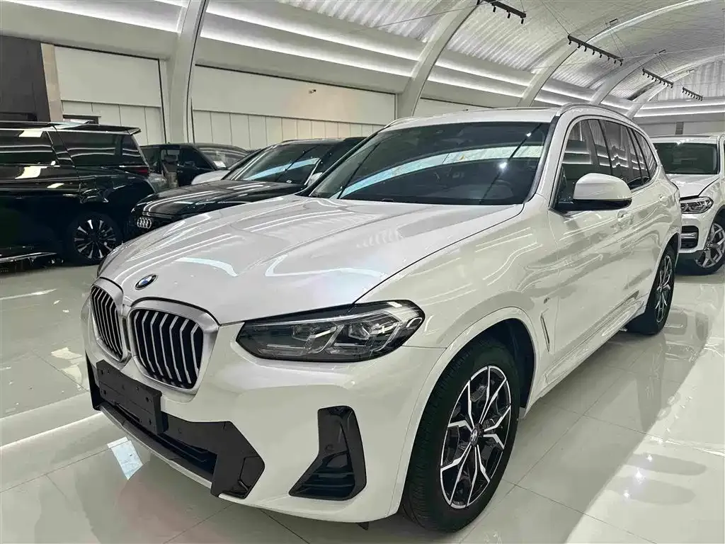 BMW X3 — фото 1