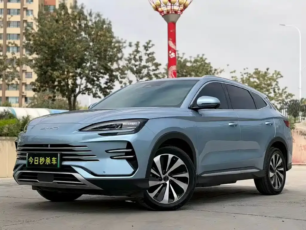 BYD PLUS New Energy — фото 1