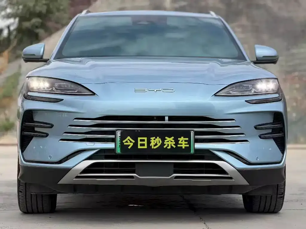 BYD PLUS New Energy — фото 3