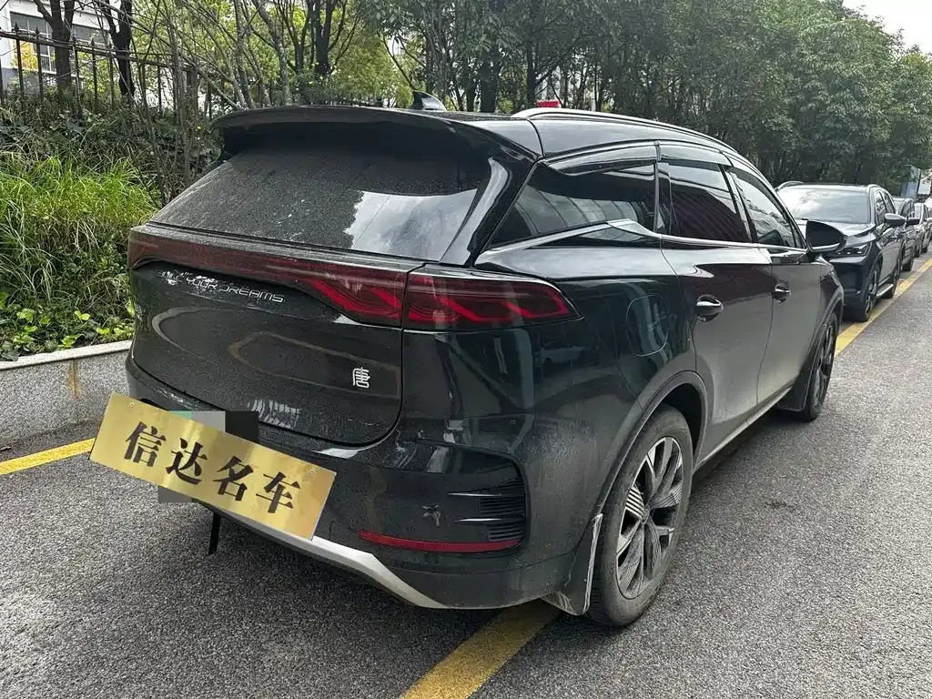 BYD Tang New Energy — фото 6