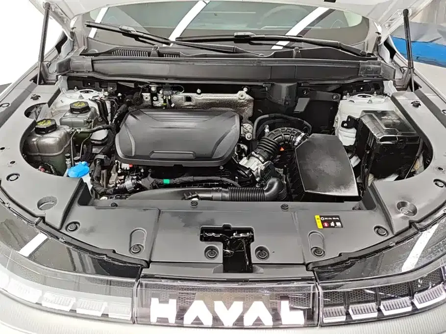Haval Xiaolong MAX — фото 9