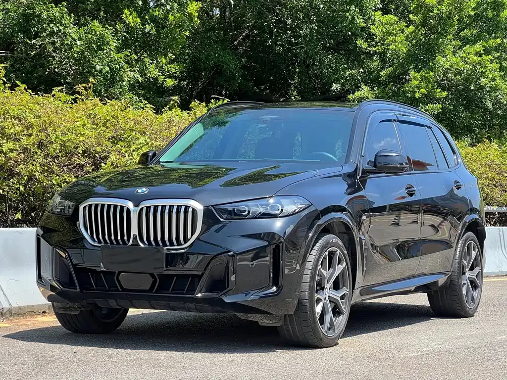 BMW X5 — фото 1
