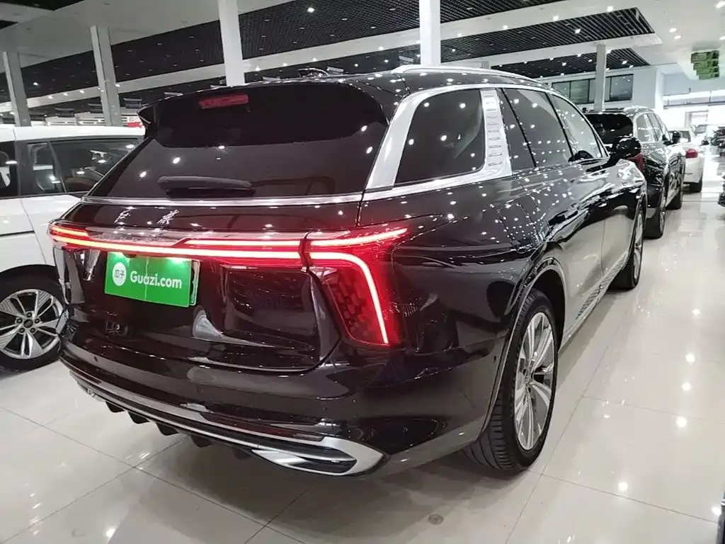 Hongqi E-HS9 — фото 10
