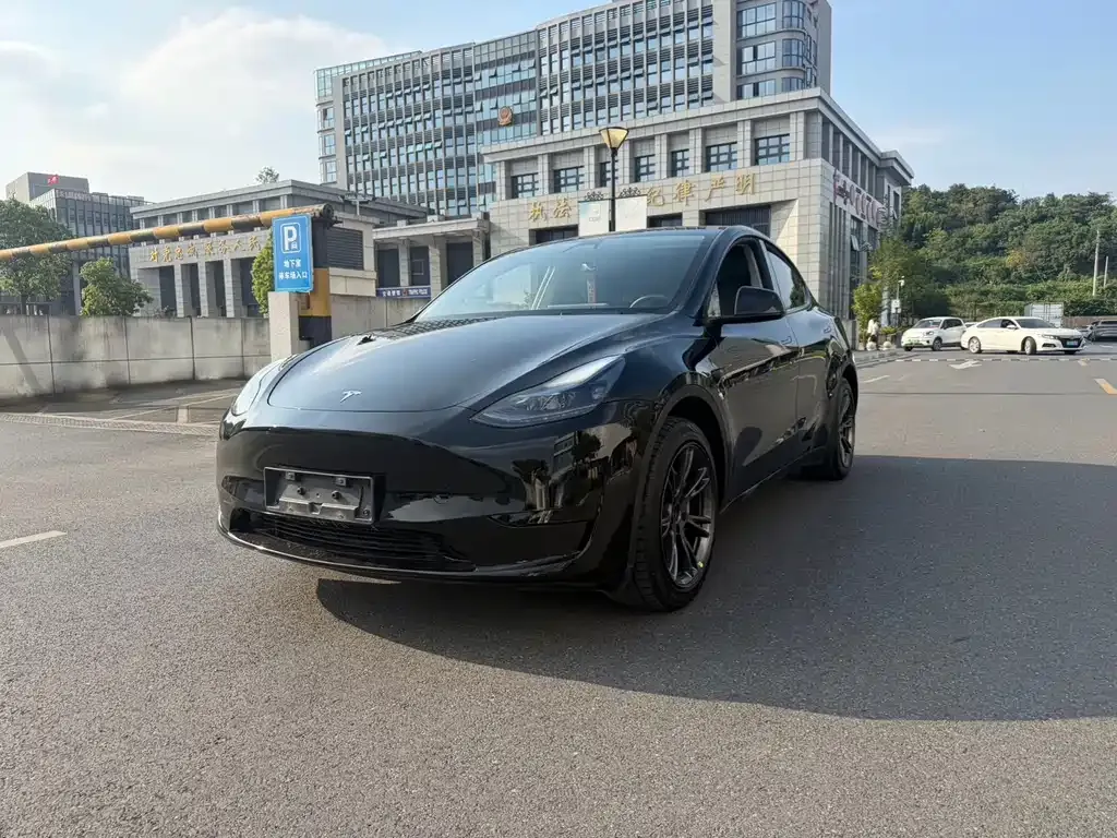 Tesla Model Y — фото 1
