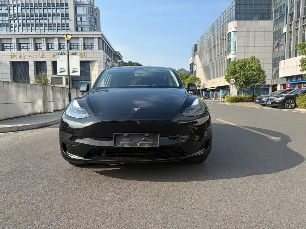 Tesla Model Y — фото 4