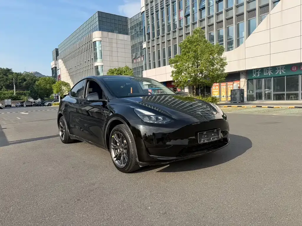 Tesla Model Y — фото 8