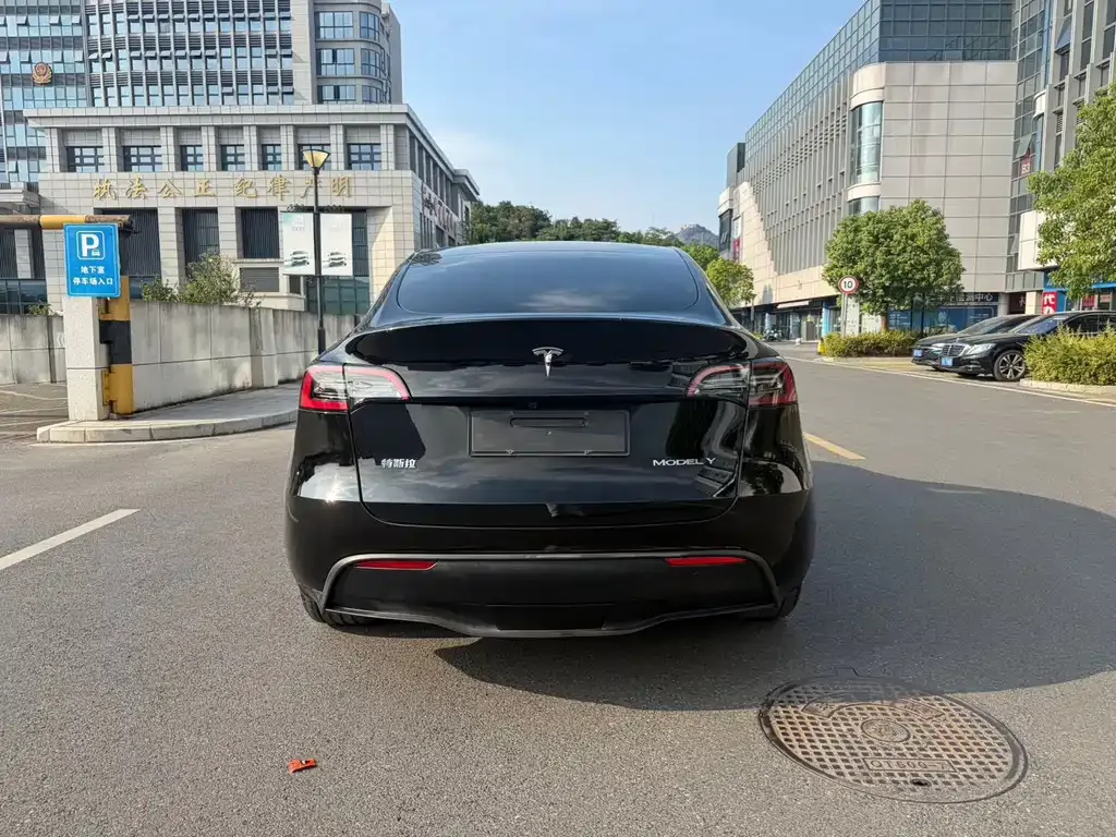Tesla Model Y — фото 9