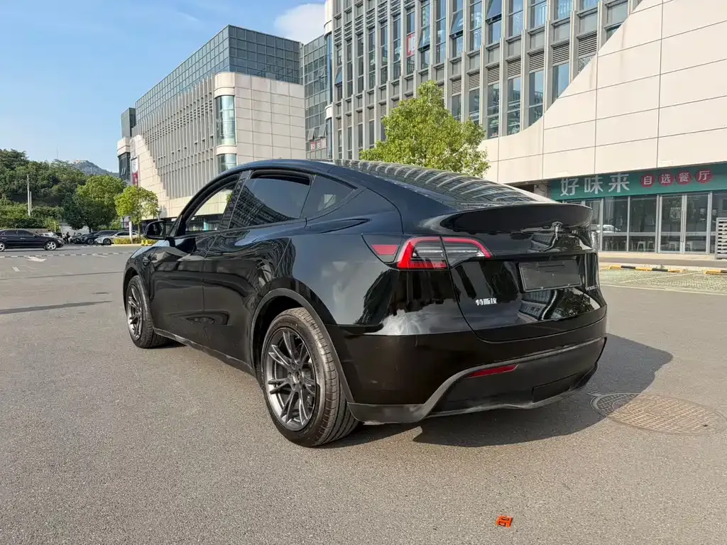 Tesla Model Y — фото 6